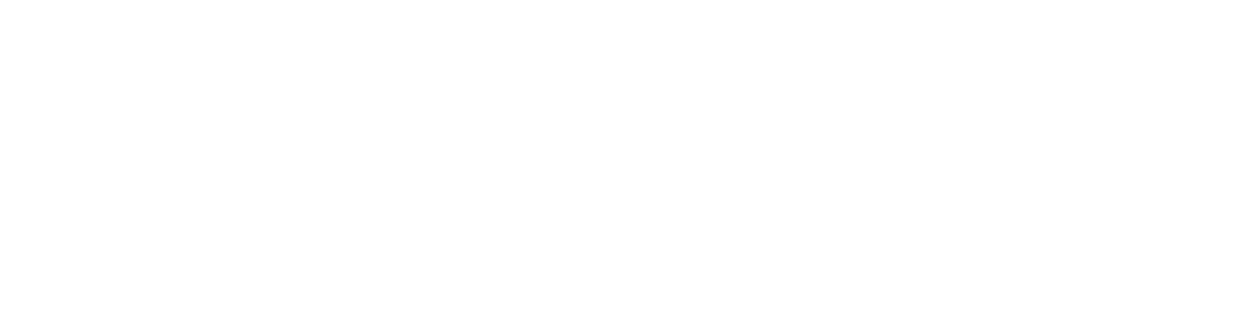 Wender Logo